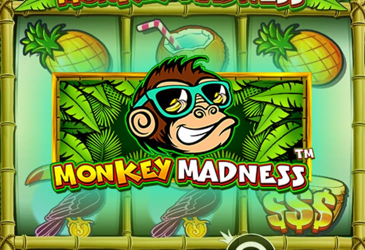 Monkey Madness - Pragmatic Play slot at Domusbet Casino Casino
